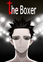 The-Boxer-209x300.jpeg